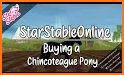 Chincoteague Pony Names related image