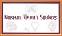 Auscultation - Heart, Lung Sounds, Cardiac Murmurs related image