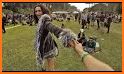 Outside Lands related image