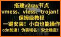 XRAY VPN  - VLESS VMESS Trojan related image