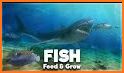 Feed Fish ~ Grow Fish new Guide related image