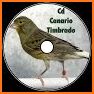 Cantos de Canarios timbrados educa, enseña gratis related image