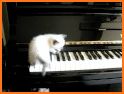 Innocent Cute Cat Keyboard Theme related image