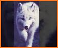 Fox Wallpaper related image