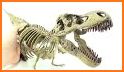 3D Dino Bones related image