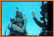 PADI - Scuba Diving Essentials related image