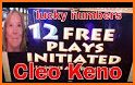 Lucky Numbers Keno Games Free related image