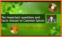 Herbs and spices quiz related image