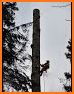 Log-climber related image