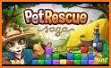 Pet Rescue Saga related image