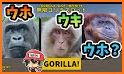 GORILLA SLOT INFINITY related image