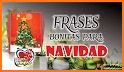 Feliz Navidad frases bonitas related image