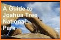 Joshua Tree National Park related image
