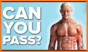 Human Anatomy And Physiology Quiz related image