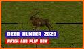Deer Hunter 2020: Sniper Shooting Game related image
