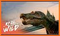 Dinosaur Wild Hunting Game 2021 - Dino Predator 🦕 related image