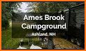 Beaver Brook Campground related image