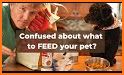 Feed the Pet related image