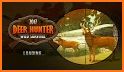 Deer Hunter: sniper 3D related image