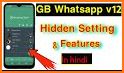 GB Wasahp Pro V12 2021 related image