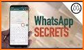 GBWhats Messenger Tips related image
