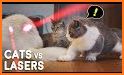 Cats and Lasers related image