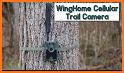 WingHomeCam: 4G Trail Camera related image