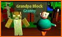 Scary Blocky Granny - Horror Craft Escape Mod related image