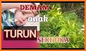 tips simpel obat tradisional penurun demam anak related image