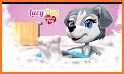 Lucy Dog Care and Play related image