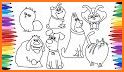 Book Coloring Pets related image