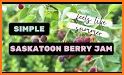 Guide Making Saskatoon berry pie related image