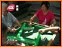 World Mahjong (original) related image