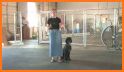 Dog Whistle - Whistler to Train your Pets & Puppy related image