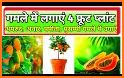 Plant Identifier - Identity Plant, Flower, Trees related image