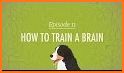 Brain Training | Brain Train 1 related image