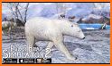 Polar bear survival simulator related image