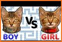 Cat tower the Hexagon block puzzle game related image
