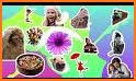 GIF Maker - Video to GIF Editor related image