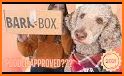 BarkBox - Dog Toy & Treat Box related image