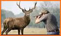 Deer Hunter 2022 - Sniper Hunt related image
