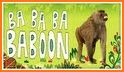 Baboon related image