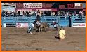 Tucson Rodeo related image