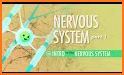 NERVOUS SYSTEM related image