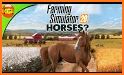 Horse jumping simulator 2020 related image