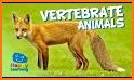 Parts of Animals (Vertebrates) related image