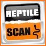 Reptile Scan related image