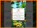 Dua Arafah Audio & Offline related image
