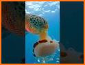 Cute Mermaid World Vs Turtles – Sea World Games related image