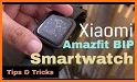 Amazfit BIP Assistant related image